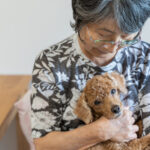 この子を残して逝けない」ペットのための終活｜信託・遺言・老犬ホームという選択肢
