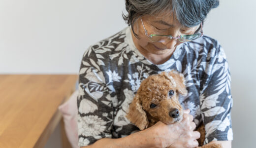「この子を残して逝けない」ペットのための終活｜信託・遺言・老犬ホームという選択肢