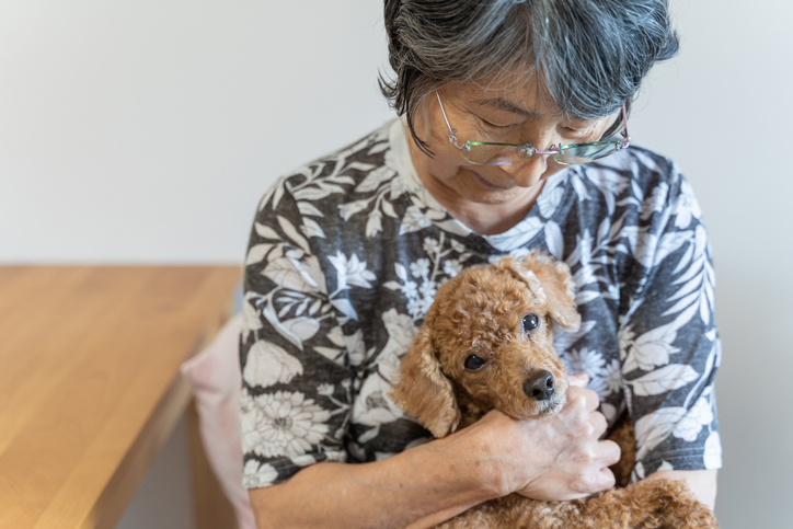 この子を残して逝けない」ペットのための終活｜信託・遺言・老犬ホームという選択肢