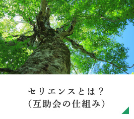 セリエンスとは？（互助会の仕組み）