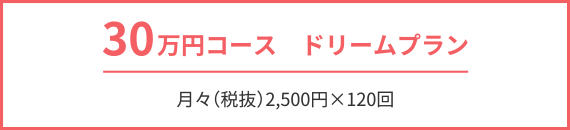 30万円コース　ドリームプラン